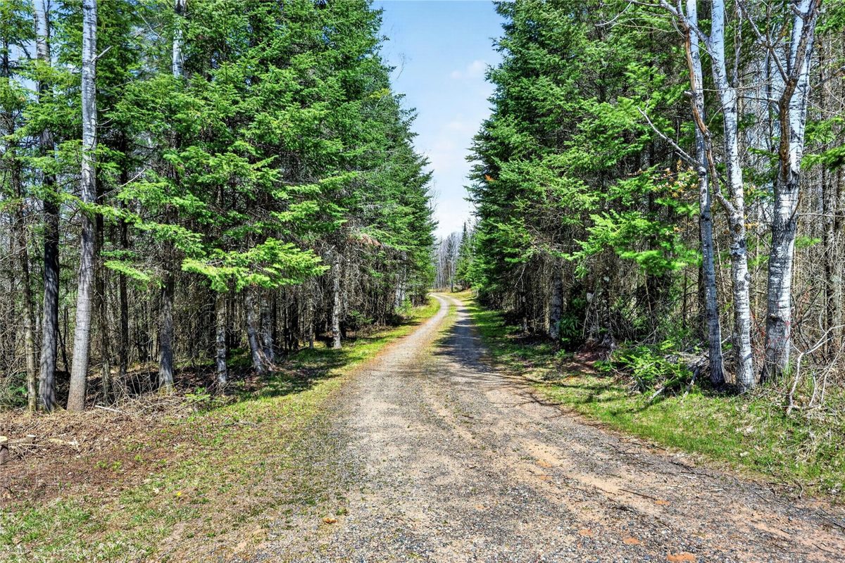 8225 Blaisdell Lake Road, Winter WI 54896 - Land house for sale - MLS #1600828 - image17