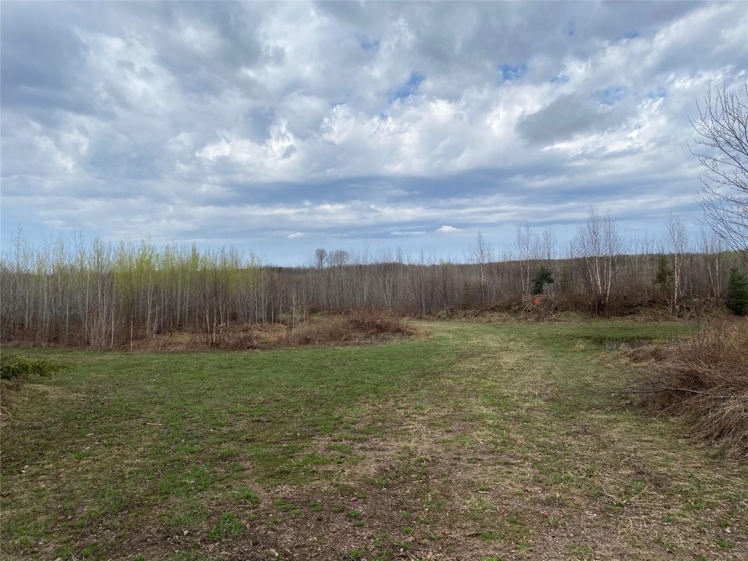Near Wilson Lake Road Phillips WI 54555 — photo 3