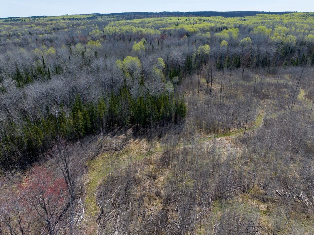 TBD Swedlund Road, Herbster WI 54844 - Land house for sale - MLS #1605965 - image4