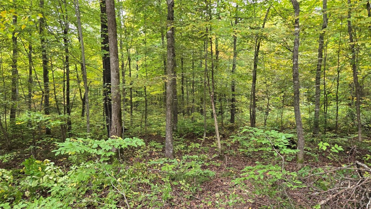 Lot 2 Lakeview LN., Exeland, WI — photo 2