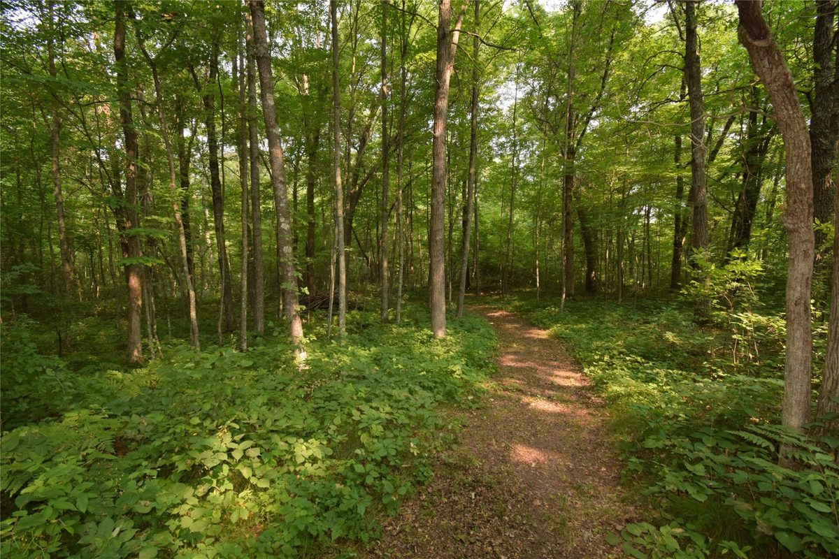 25707 Smith Road, Webster WI 54893 - Residential house for sale - MLS #1604112 - image51