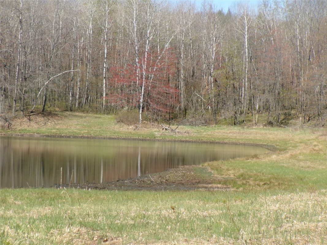 Tax ID 35410 Moody Lake Road, Sarona WI 54870 - Land house for sale - MLS #1601029 - image7