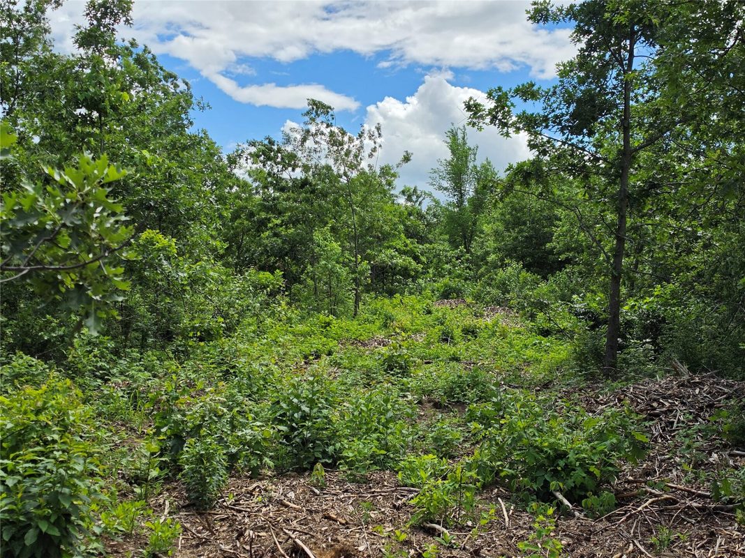 Lot 3 County Highway E, Elk Mound WI 54739 - Land house for sale - MLS #1600992 - image9