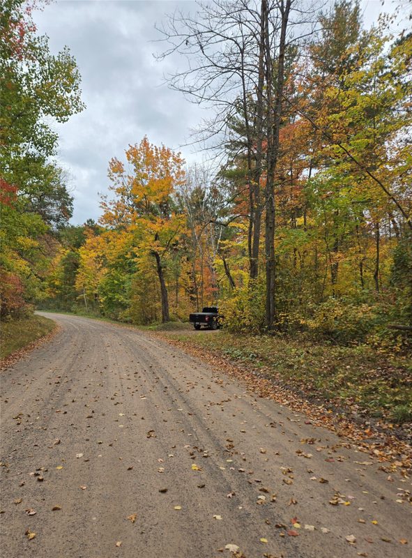16119 Henks Road, Hayward WI 54843 - Land house for sale - MLS #1605555 - image2