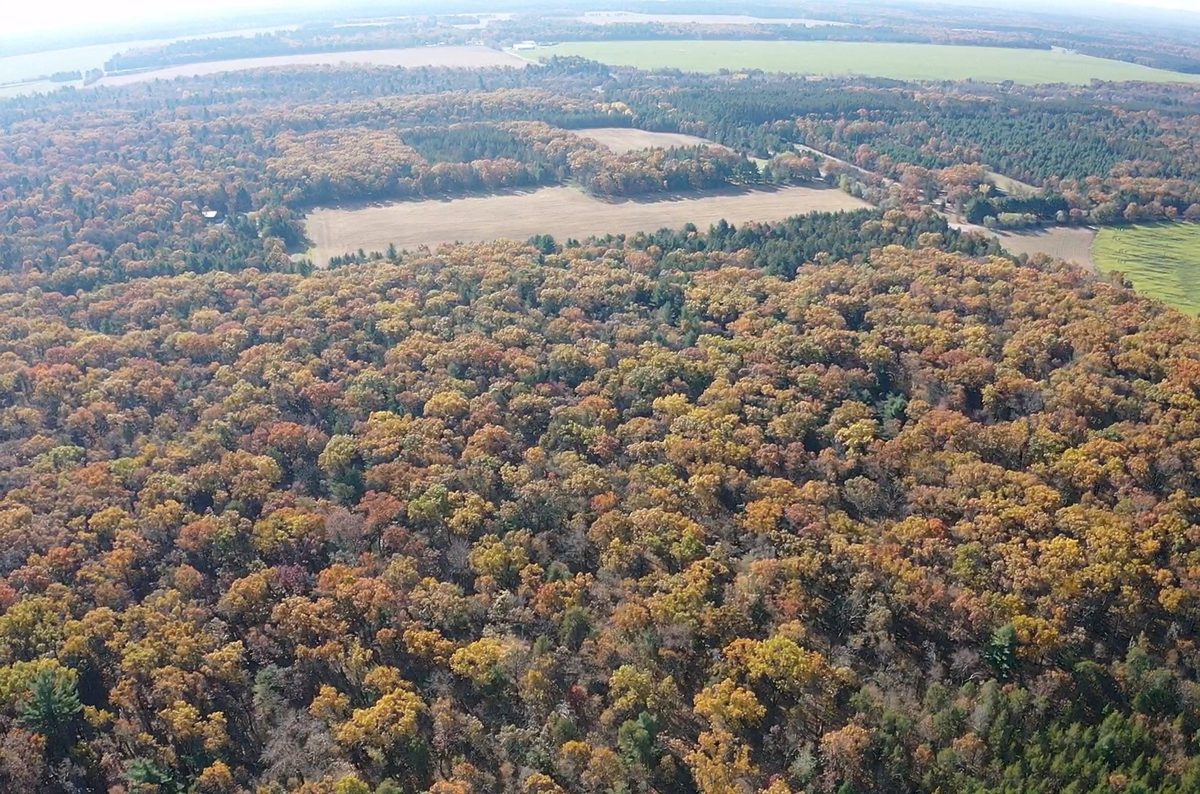 TBD Fish Drive, Grand Marsh WI 53936 - Land house for sale - MLS #1606229 - image13
