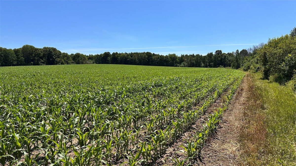 XX County Road BB, Baldwin WI 54002 - Land house for sale - MLS #1602567 - image35