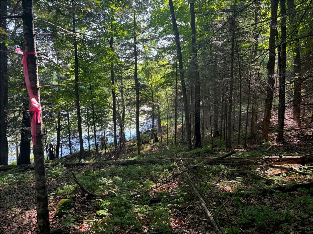 Lot 8 Crane Lane, Hayward WI 54843 - Land house for sale - MLS #1603375 - image24
