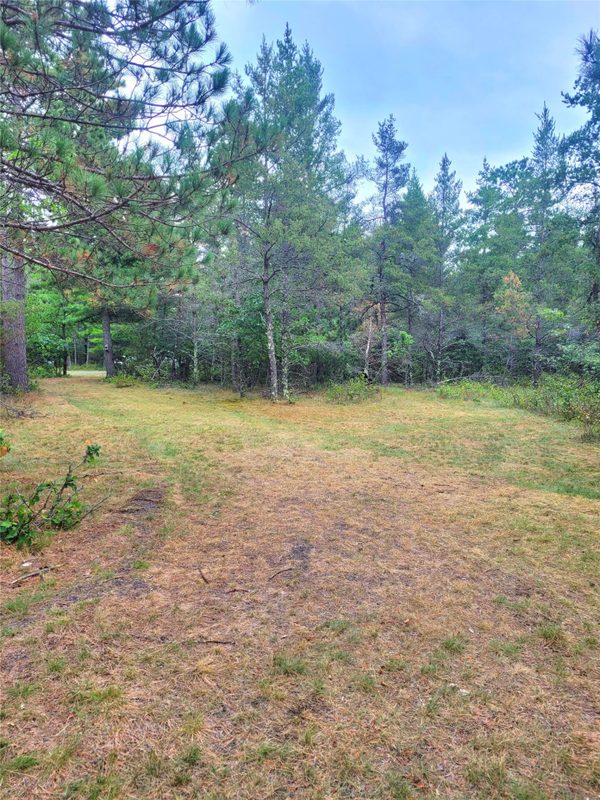 0 Blueberry Rd, Gordon WI 54838 - Land house for sale - MLS #1604990 - image10