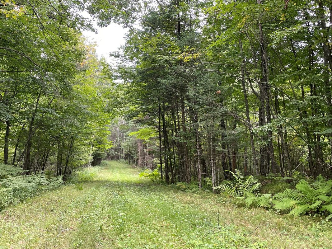 Lot 9 Hermosa Lane, Hayward, WI — photo 10