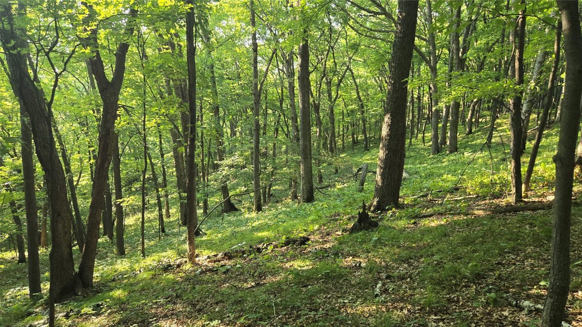 W02 State Highway 64, Colfax WI 54730 - Land house for sale - MLS #1604529 - image6