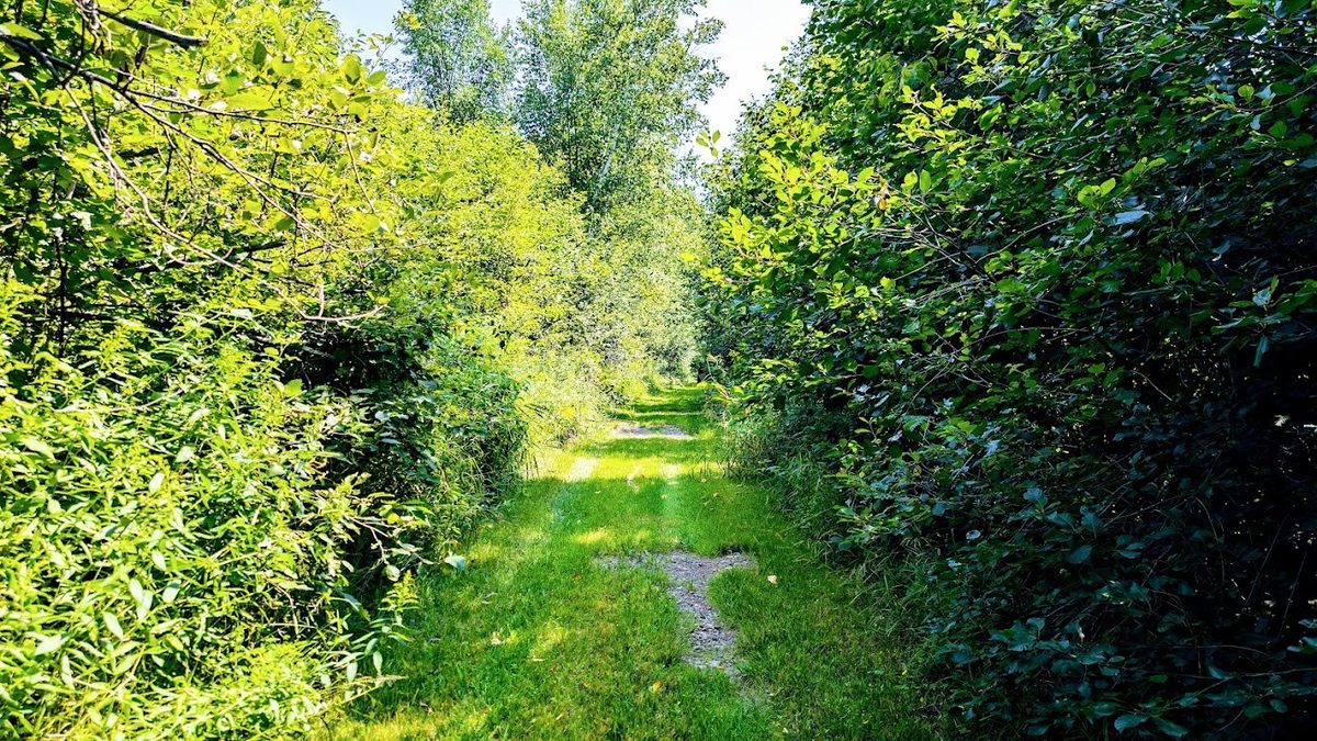 N2438 State Highway 27, Conrath WI 54731 - Residential house for sale - MLS #1603765 - image57