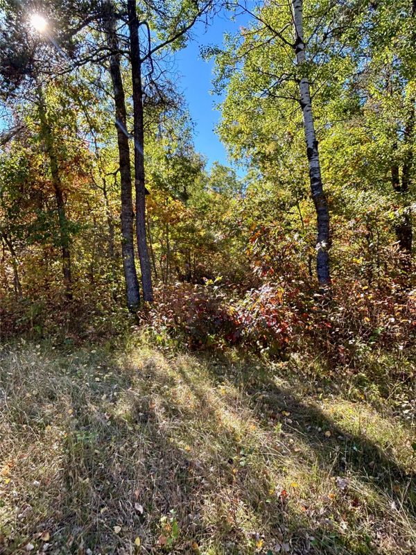 9524 Bergin Springs Road, Solon Springs WI 54873 - Land house for sale - MLS #1605714 - image9