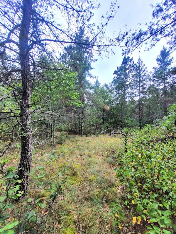 0 Blueberry Rd, Gordon WI 54838 - Land house for sale - MLS #1604990 - image18