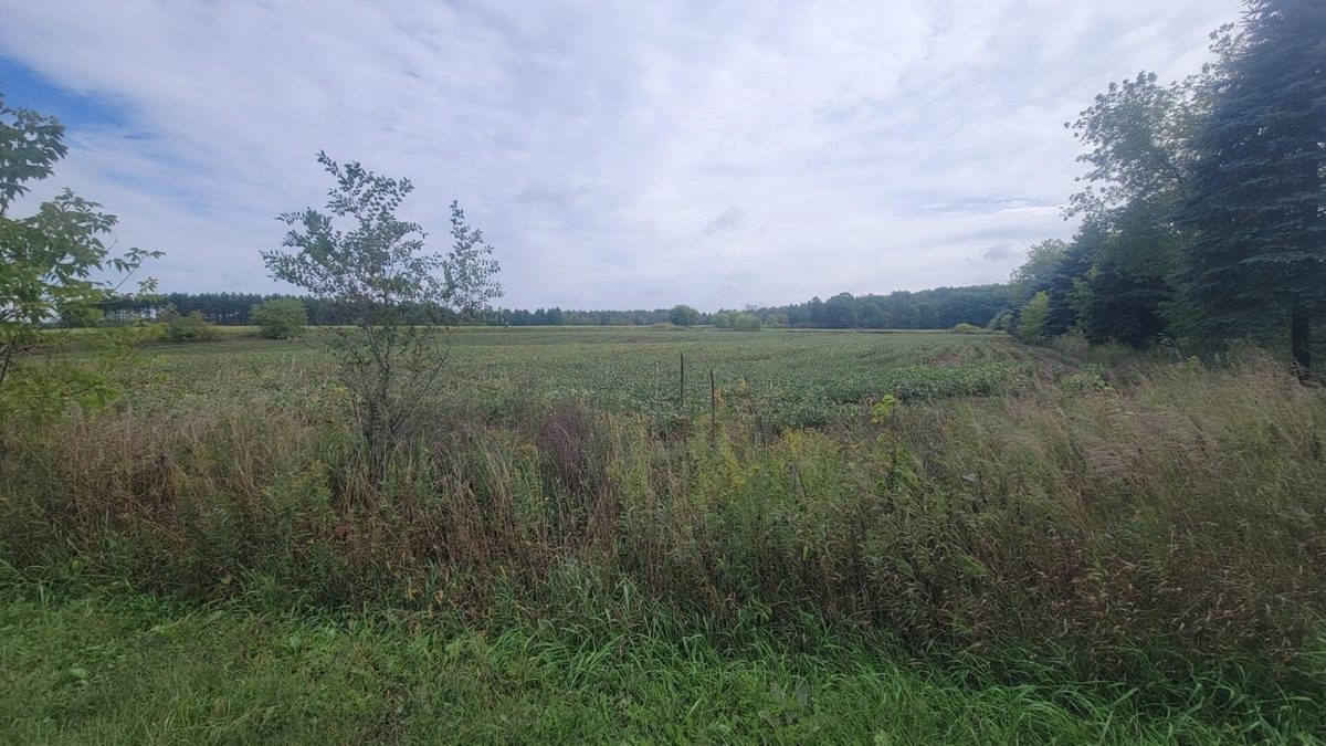 3585 Highway 49, Rosholt WI 54473 - Residential house for sale - MLS #1605185 - image19