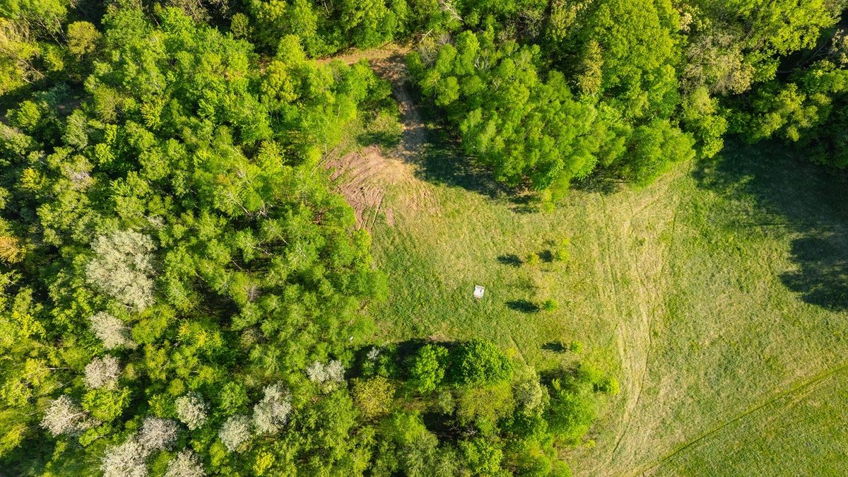 E3555 1120th Avenue, Boyceville WI 54725 - Land house for sale - MLS #1601582 - image13
