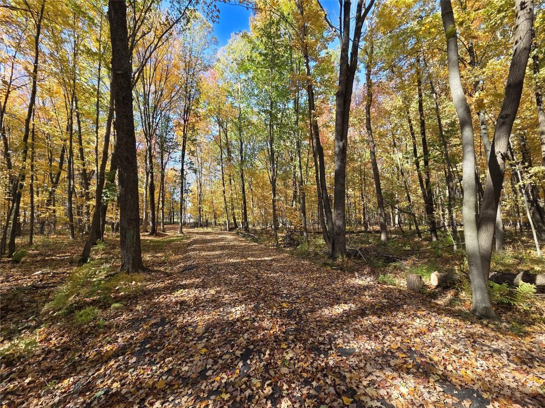 2541 County Hwy D, Boyd WI 54726 - Land house for sale - MLS #1605930 - image15