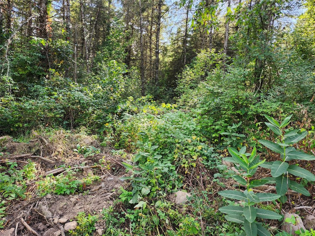 7821W Koeppler Road, Ojibwa WI 54862 - Land house for sale - MLS #1604981 - image12