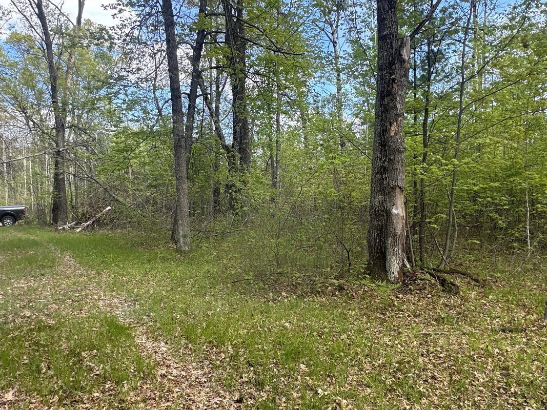 25275 Bruss Road, Webster WI 54893 - Land house for sale - MLS #1602158 - image26