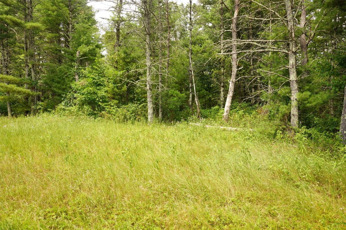 N9105 Flood Road, Black River Falls WI 54615 - Land house for sale - MLS #1603584 - image9