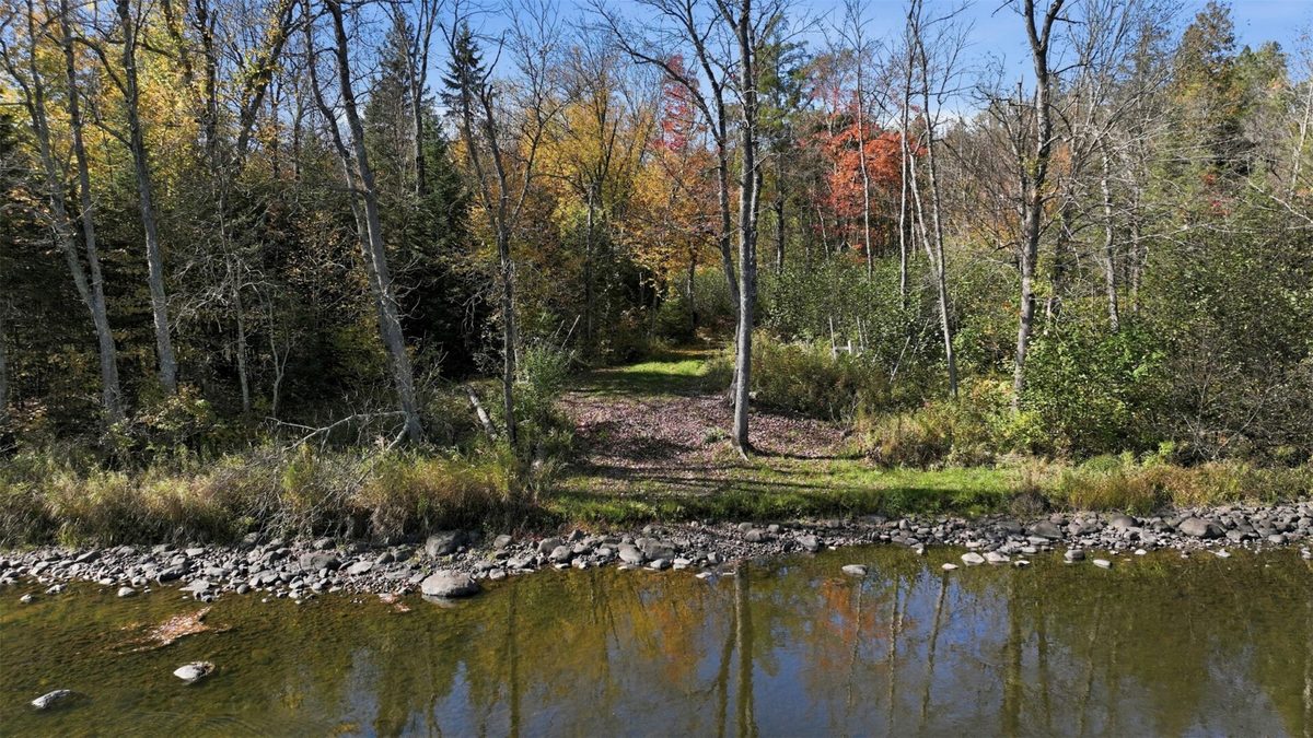 6680 Dam Road, Winter WI 54896 - Residential house for sale - MLS #1605792 - image5
