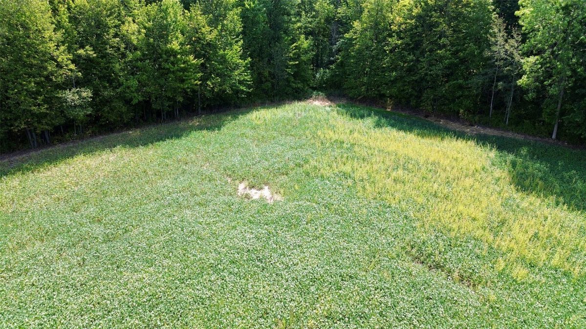 W16860 Cty Rd D, Sheldon WI 54766 - Land house for sale - MLS #1604631 - image11