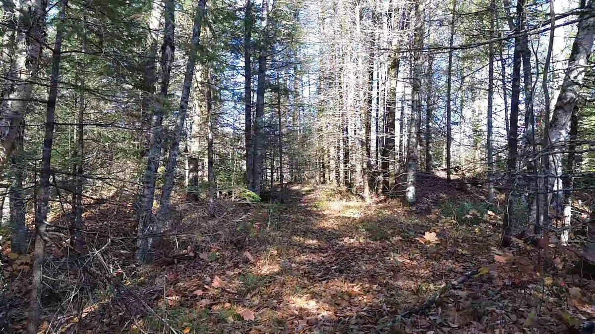4800 43 Road, Solon Springs WI 54783 - Land house for sale - MLS #1606105 - image13