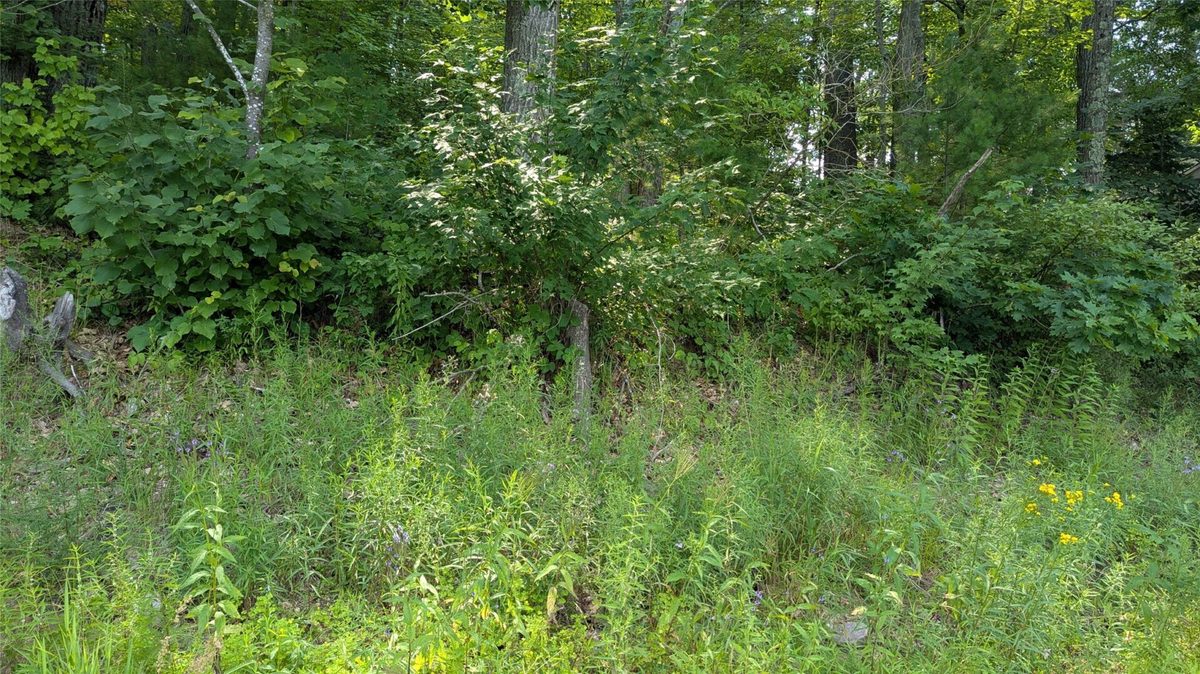 Lot 4 County Highway CC, Couderay WI 54828 - Land house for sale - MLS #1603366 - image15