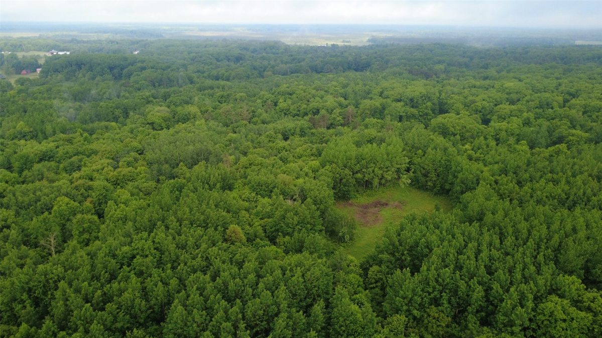 000 Boundary Road, Ringle WI 54471 - Land house for sale - MLS #1602183 - image19