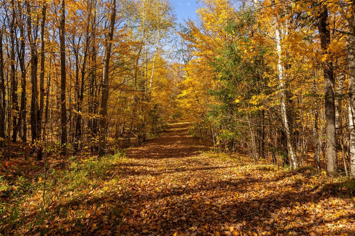 W2621 Goetzke Rd, Prentice WI 54556 - Land house for sale - MLS #1605822 - image26
