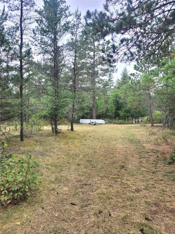 0 Blueberry Rd, Gordon WI 54838 - Land house for sale - MLS #1604990 - image5