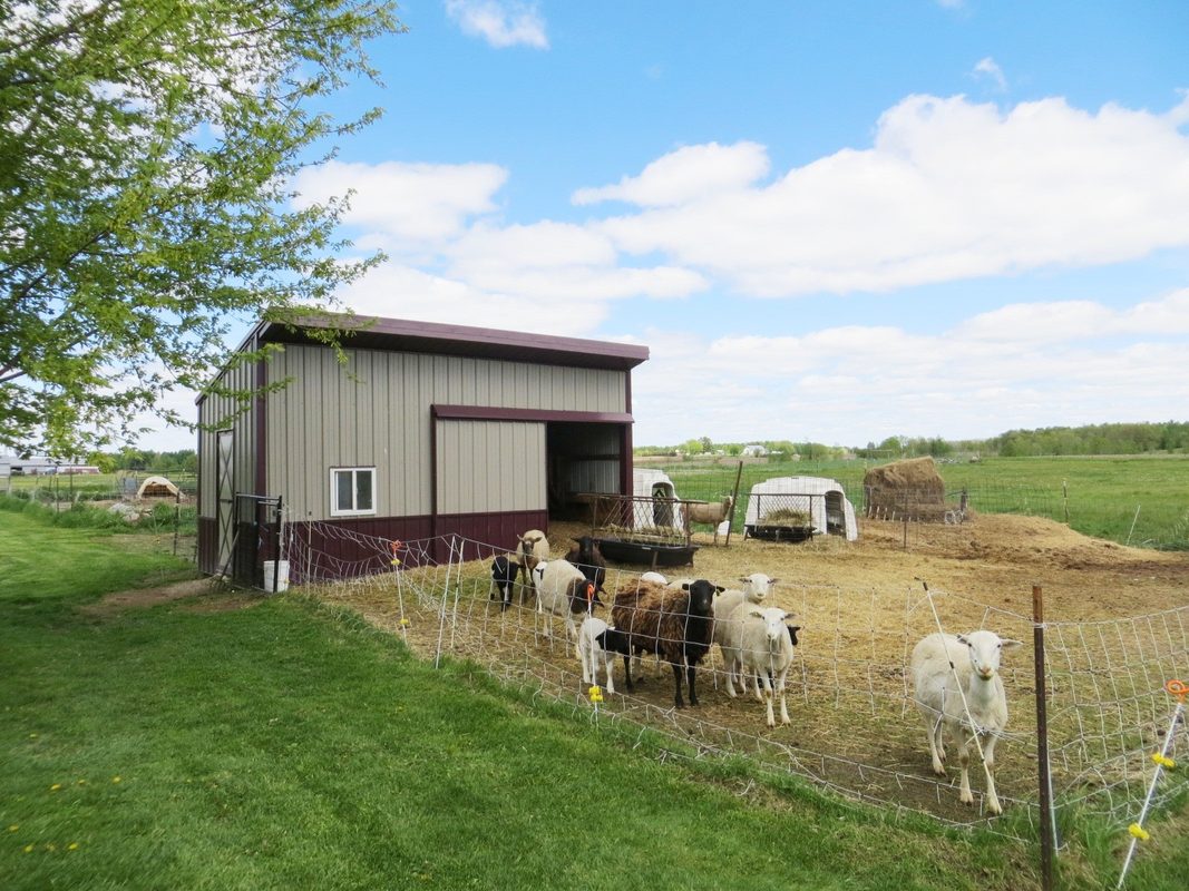 N16304 State Highway 73, Thorp WI 54771 - Residential house for sale - MLS #1601400 - image4