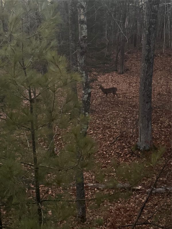 W15892 Old 14 Road, Weyerhaeuser WI 54895 - Land house for sale - MLS #1604192 - image27