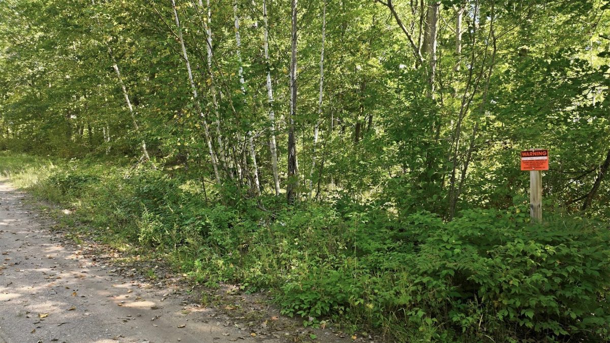 Lot 2 Sugar Bay Road, Chetek WI 54728 - Land house for sale - MLS #1605220 - image17