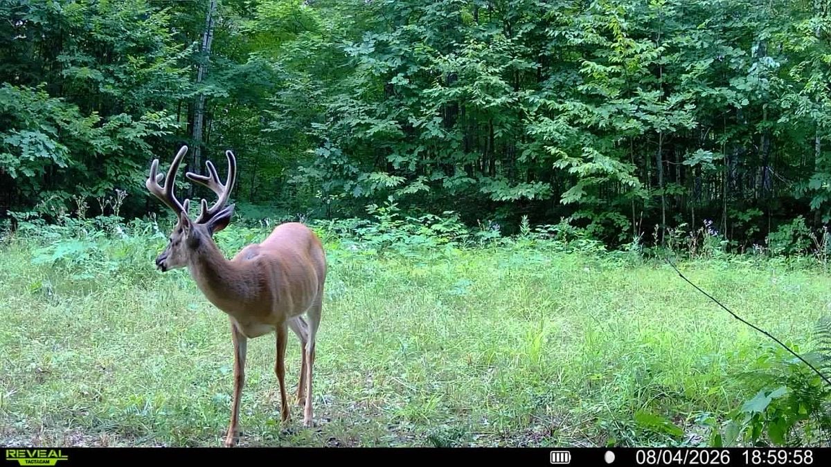 1,711 Acres County Highway C & Comet Road, Exeland WI 54835 - Land house for sale - MLS #1595405 - image40