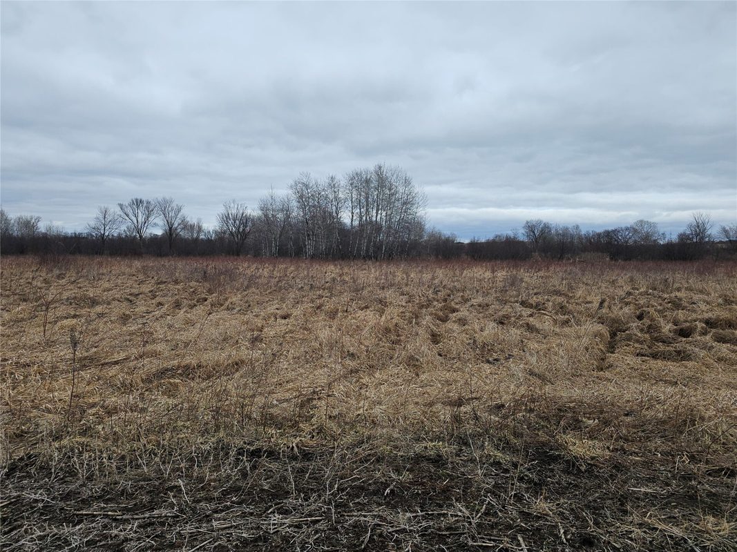 XXX 994th Avenue Boyceville WI 54725 — photo 16