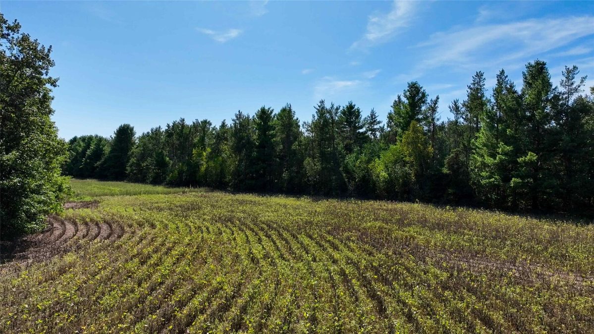 7562 Fairview Road, Ladysmith WI 54848 - Land house for sale - MLS #1605842 - image19