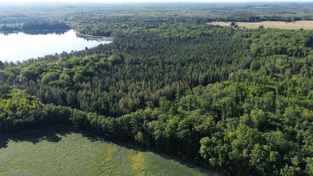 0000 Sand Lake Road, Stone Lake WI 54876 - Land house for sale - MLS #1604299 - image9