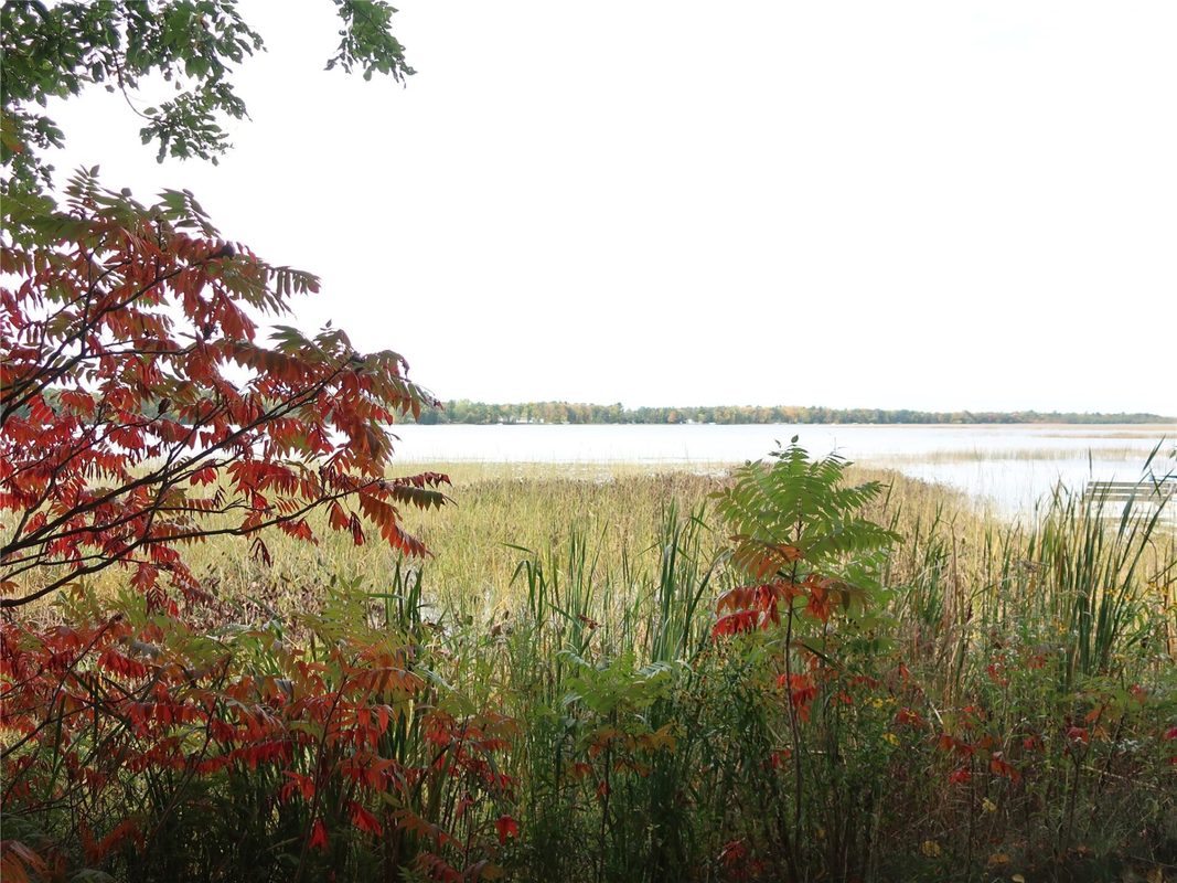 TBD Old 35, Siren WI 54872 - Land house for sale - MLS #1605520 - image11