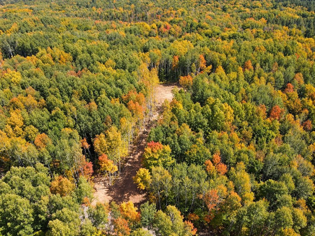 Parcel 4 County Road A, Solon Springs WI 54873 - Land house for sale - MLS #1604811 - image6