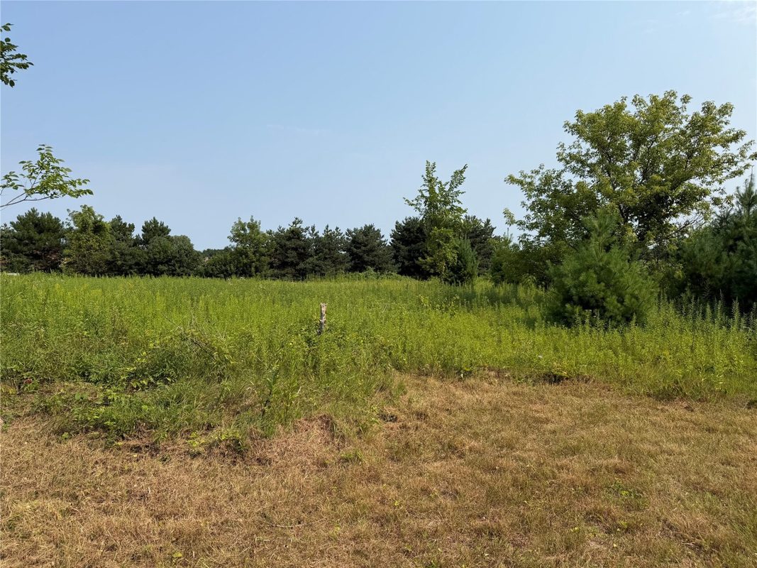 N1396 934th Street, Mondovi WI 54755 - Land house for sale - MLS #1603554 - image5