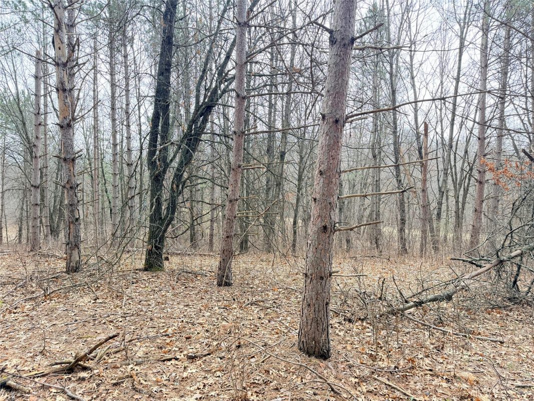 Lot 3 Big Lake Drive, Osceola WI 54020 - Land house for sale - MLS #1599897 - image23