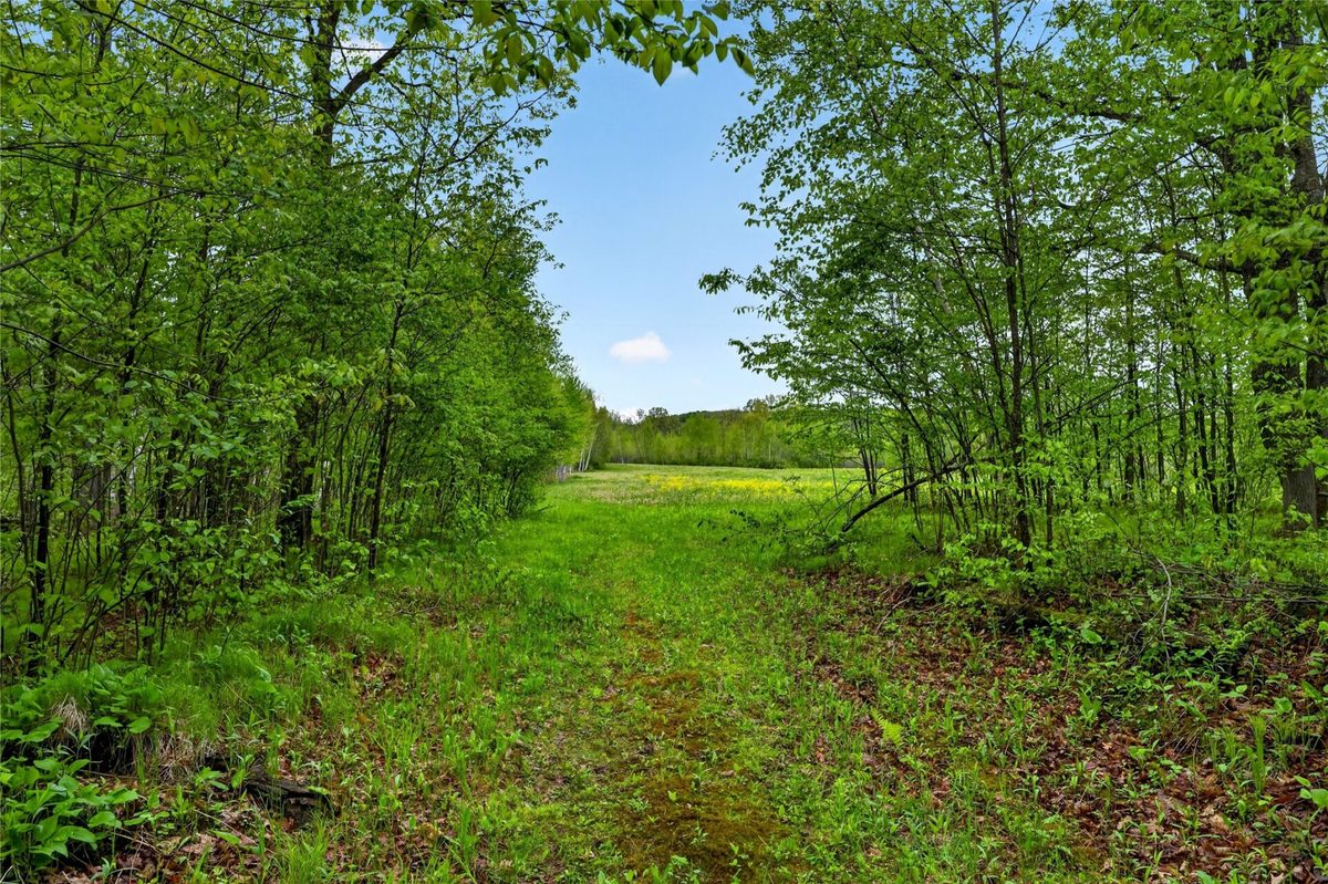 N8771 Fye Road, Trego WI 54888 - Land house for sale - MLS #1603147 - image23
