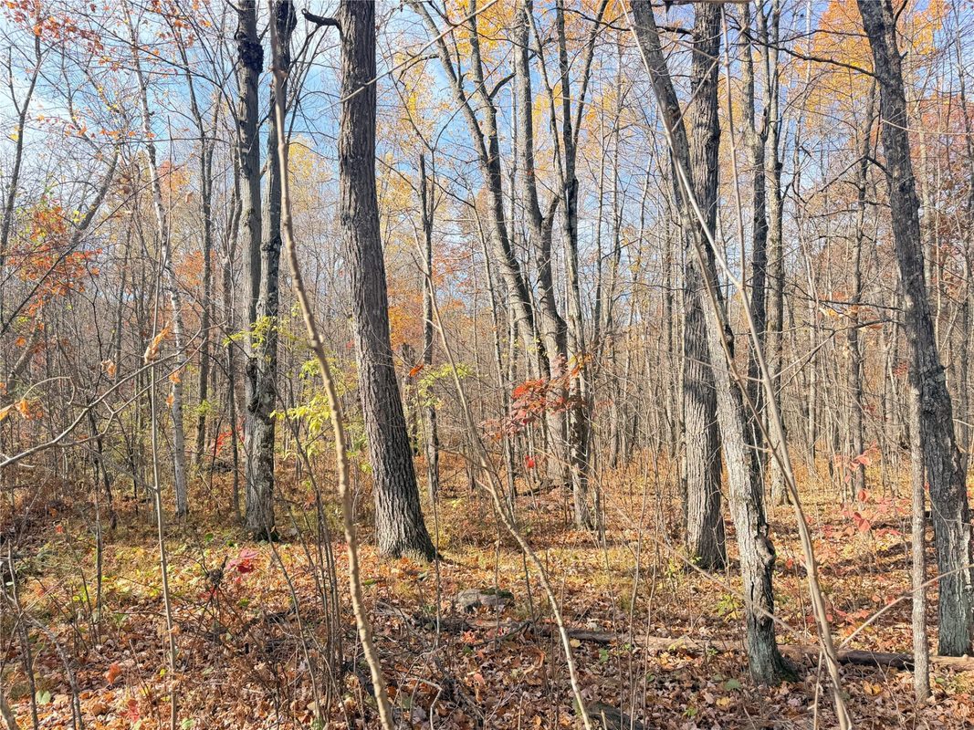 0 County Highway C, Rice Lake WI 54868 - Land house for sale - MLS #1605929 - image53