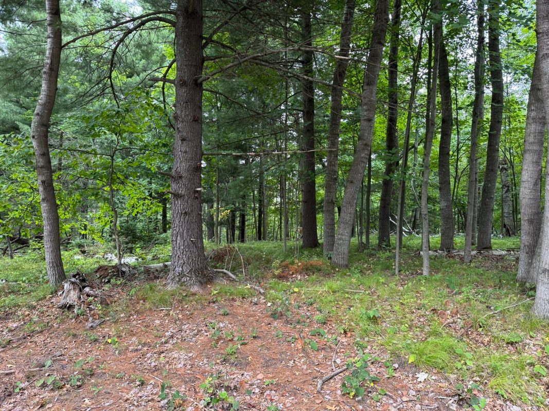 N8004 Cty Hwy A, Spooner WI 54801 - Land house for sale - MLS #1604449 - image6