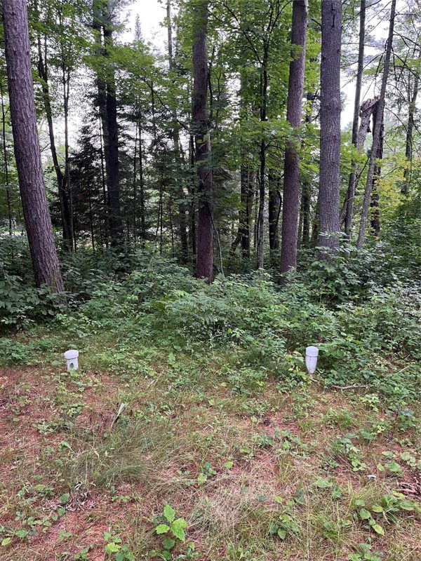 16876 Southview Trail, Stone Lake WI 54876 - Land house for sale - MLS #1599724 - image18