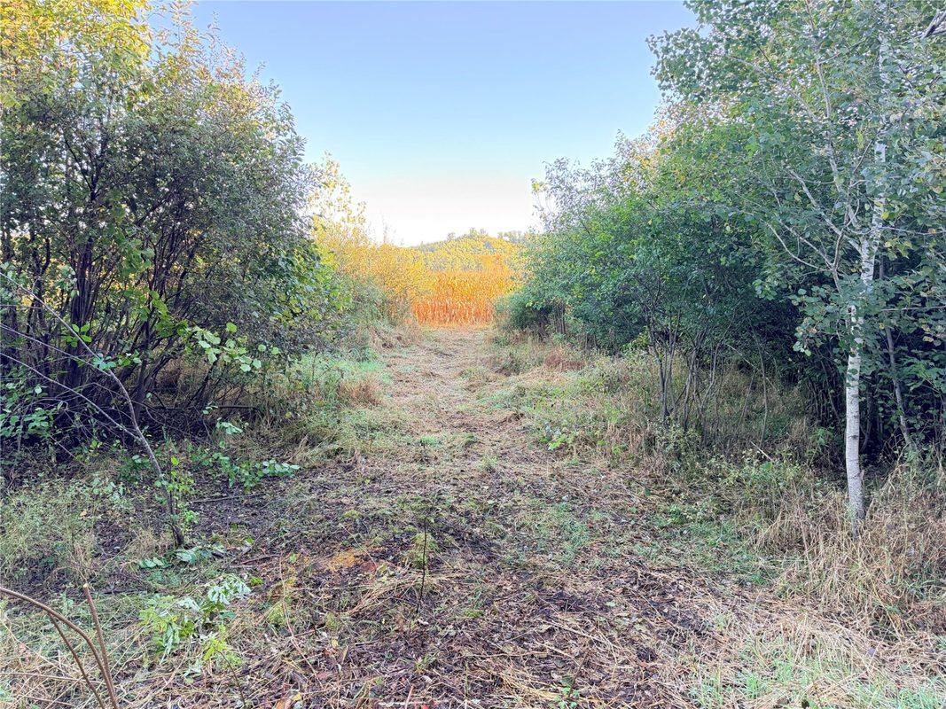 0 15th Avenue, Chippewa Falls WI 54729 - Land house for sale - MLS #1605583 - image2