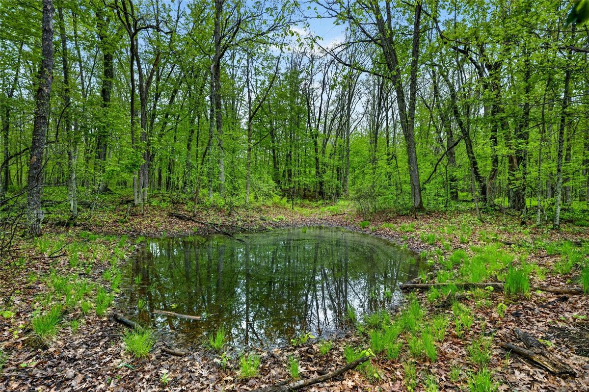 N8771 Fye Road, Trego WI 54888 - Land house for sale - MLS #1603147 - image27