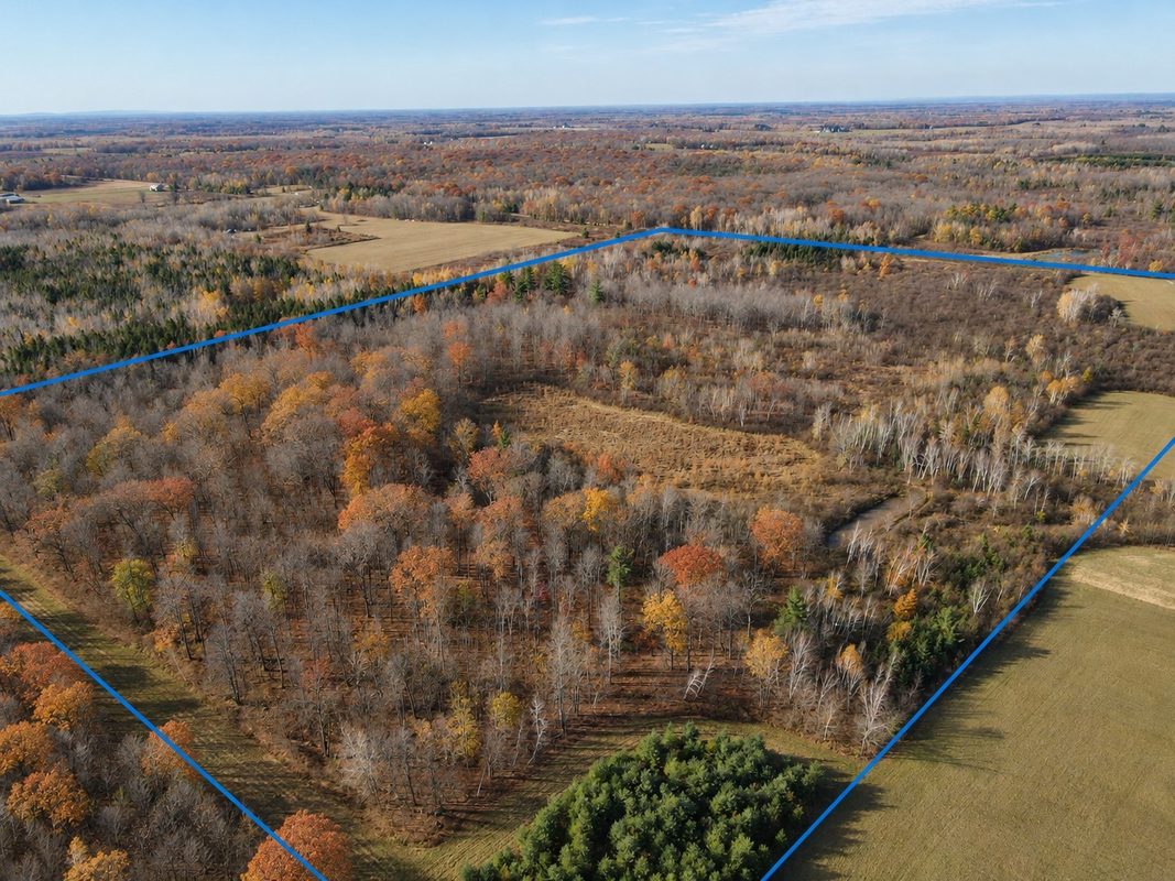TBD Fedyn Road, Ladysmith WI 54848 - Land house for sale - MLS #1606244 - image2