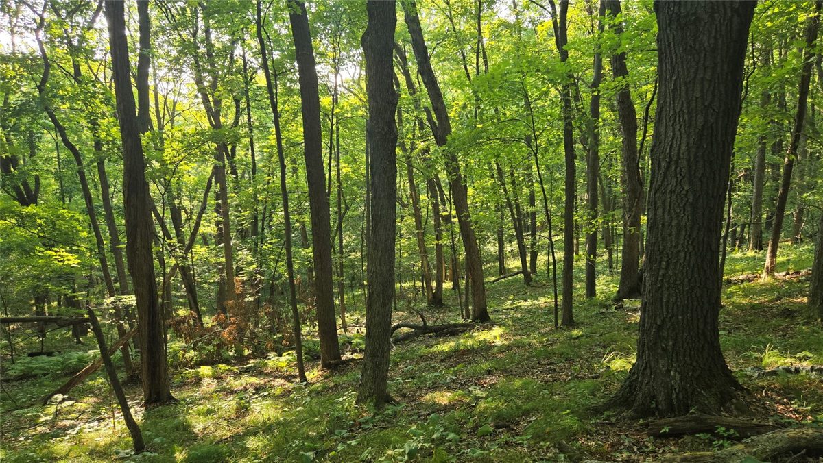 W02 State Highway 64, Colfax WI 54730 - Land house for sale - MLS #1604529 - image5