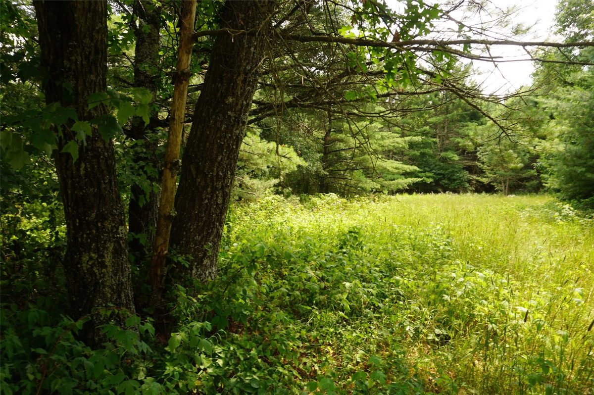 N9105 Flood Road, Black River Falls WI 54615 - Land house for sale - MLS #1603584 - image10